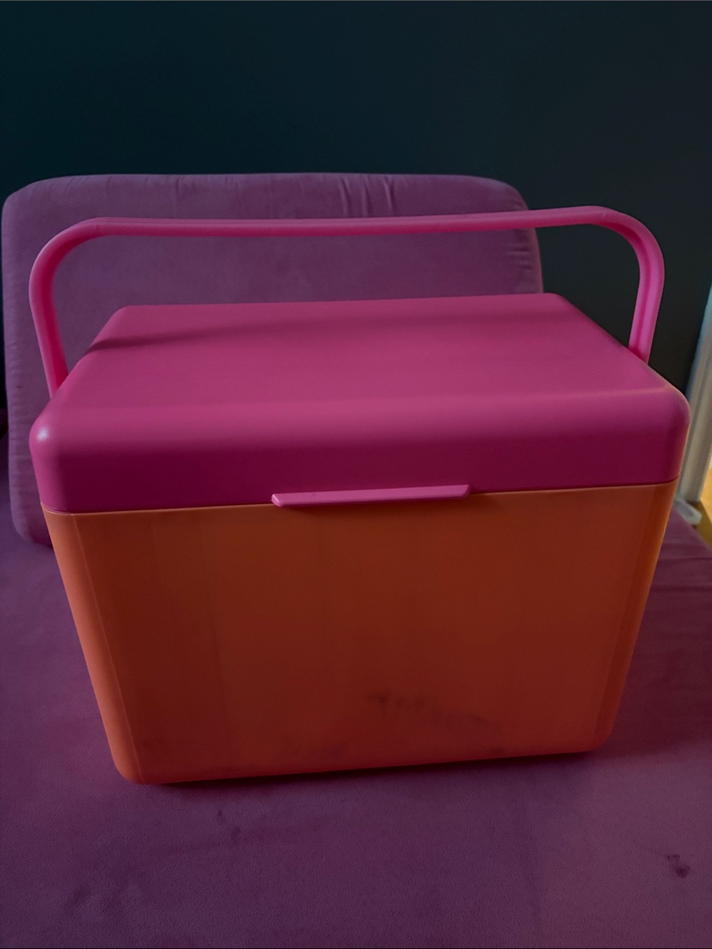 Target Pink and Orange Plastic Portable Storage Cooler